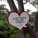 강정천(해군기지) 이미지