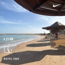 거상한식부페 | Egypt(Hurghada)_선라이즈 알마 베이 리조트 올인클루시브, 돌핀투어,클레오파트라마사지