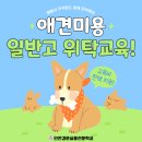 따라 애견학교 이미지