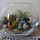 원예 테라리움 이미지