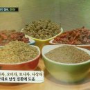 오자네 Daum카페