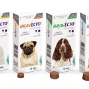 분당필동물병원 이미지