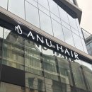ANEW(아뉴)헤어