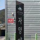 갈전숲 | [경남 함안] 함안 반나절 코스 -카페 + 산책 + 힐링까지 한 번에. 창원 근교 드라이브 코스 추천