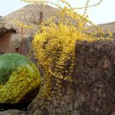 그리고봄 이미지