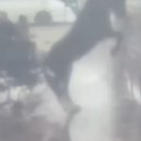 영국세차장 이미지