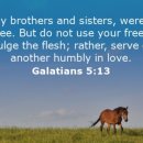 Verse of the day and prayer_260605 이미지