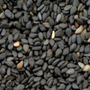 이성미베스트의원 이미지