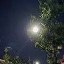 친친 노래연습장 이미지