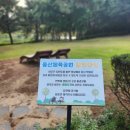주일 오후, 울산체육공원과 청춘의 못을 걸으며