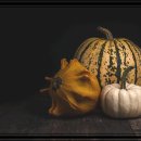 정화목욕탕 이미지