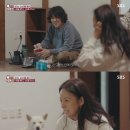 이상순농장 이미지