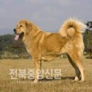 사)의견문화전승회 이미지