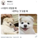 표정