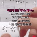 쁘띠포레유치원 이미지