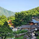 산골산내음