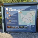 제26회 순천만 갈대축제(겨울) | 순천만국가정원 완전 정복: 가을 정원 산책(입장료,볼거리,코스,꿀팁 총정리)