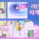 다;하리 이미지