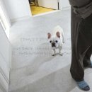 한양지업사 | 인천도배, 새롭게 탈바꿈하는 나만의 공간 ✨