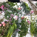 나도 플로리스트 이미지