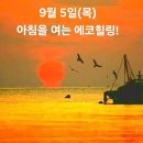 9월 5일(목)아침을 여는 건강한 에코힐링(글 전체보기는 글주소 클릭!) 이미지