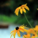 부천중앙공원공영주차장 이미지