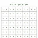 스킨클래스 이미지
