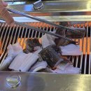 짱어한마리 이미지