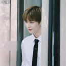 설렘테라피