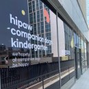 포우포우 반려견 유치원 이미지