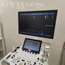 도그원동물의료센터 이미지