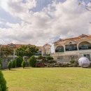 사랑해줄개 이미지