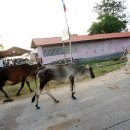 반딧불주유소 이미지