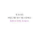 영통셀프세차장 이미지