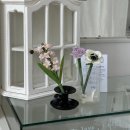 (원데이)히아시스 플라워 캔들 이미지