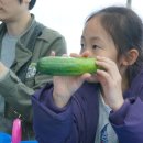 봉황농장 이미지