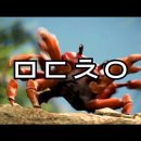 하드캐리PC방 이미지