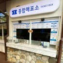 용평목욕탕 | 평창 아이와 가볼만 한곳 용평리조트 워터파크 피크아일랜드 할인받고 다녀옴 내돈내산