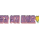 수원-0565 네이버블로그