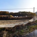 정안부동산중개 이미지