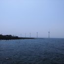 돌담너머바다 이미지