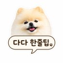 태안 애견동반 카페 바다풍경카페 | 노을뷰 좋은 뭍닭섬 앞 반려견 동반 카페 후기