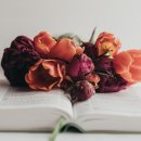 오월뷔페 이미지