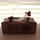 에이스어린이집 이미지
