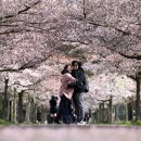 황새둥지 이미지