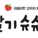 슈슈패밀리