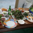 뉴함박수산 Daum카페