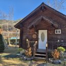 꿀꿀이농장 | 강원도/영월 통나무집A] A동과 B동의 차이, 벽난로, 바베큐, 불멍 (ft. 동물농장)