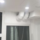 조이풀독 이미지