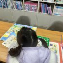 건국초등학교 | 유성어린이서점 정글북어린이서점, 신간 춤추는 포포, 내친구 역사공룡 후기